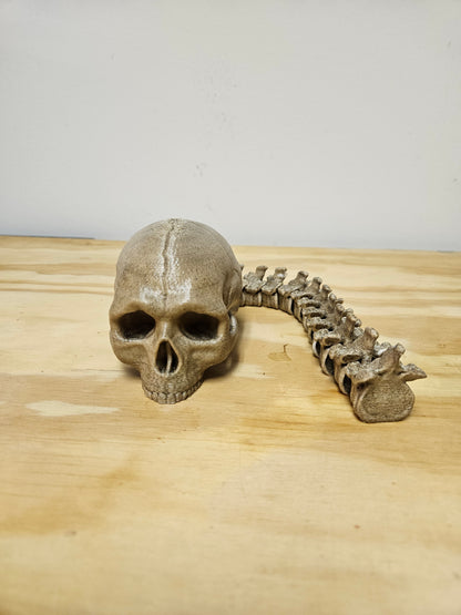 Skull with Flexible spine