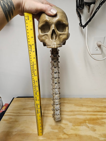 Skull with Flexible spine