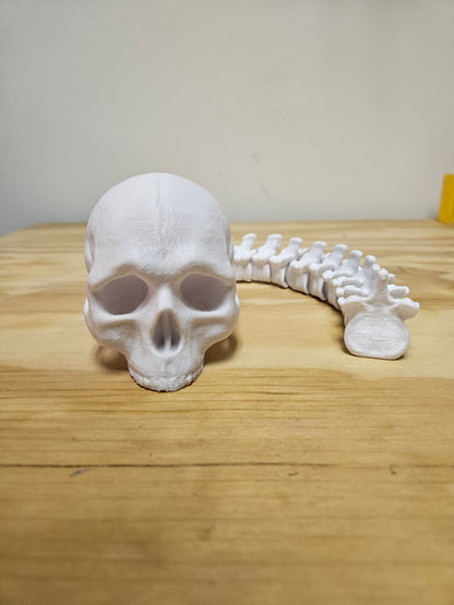 Skull with Flexible spine