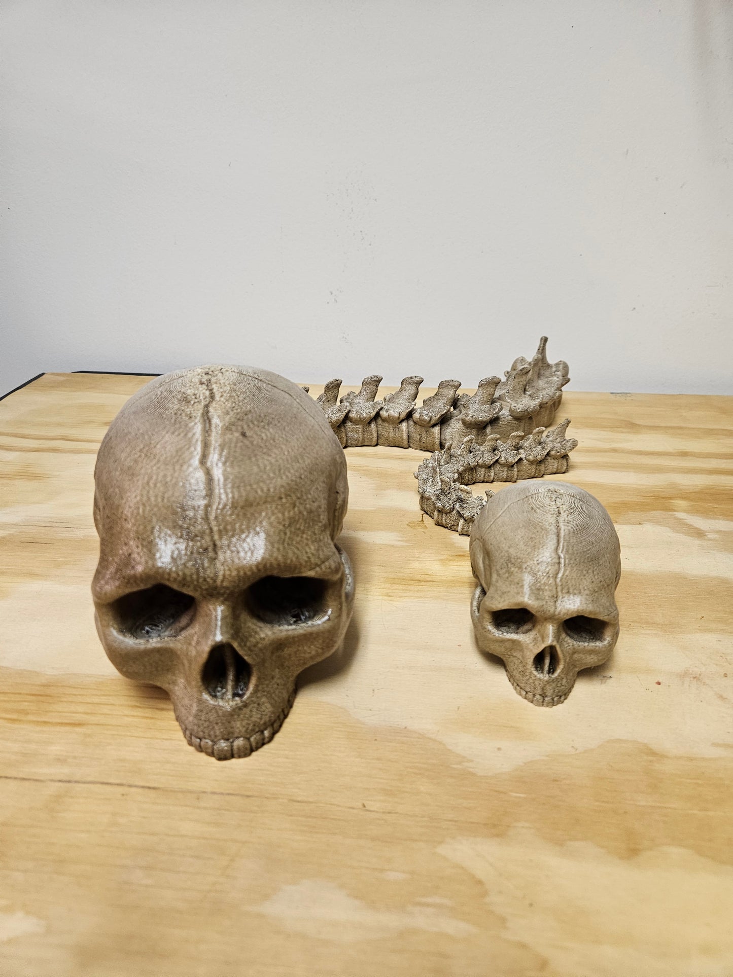 Skull with Flexible spine