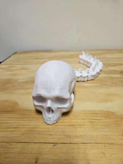 Skull with Flexible spine